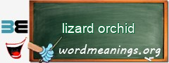 WordMeaning blackboard for lizard orchid